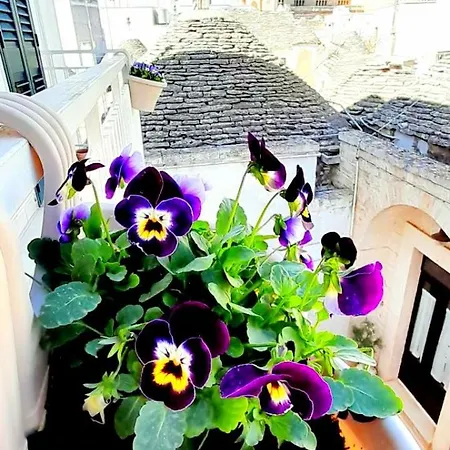 Dimora Panoramica Apartman *